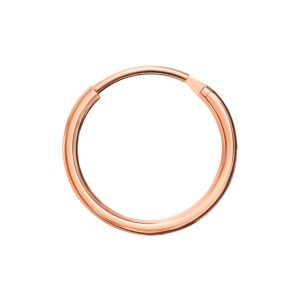 14K Gold Segment Hoop Nose Ring