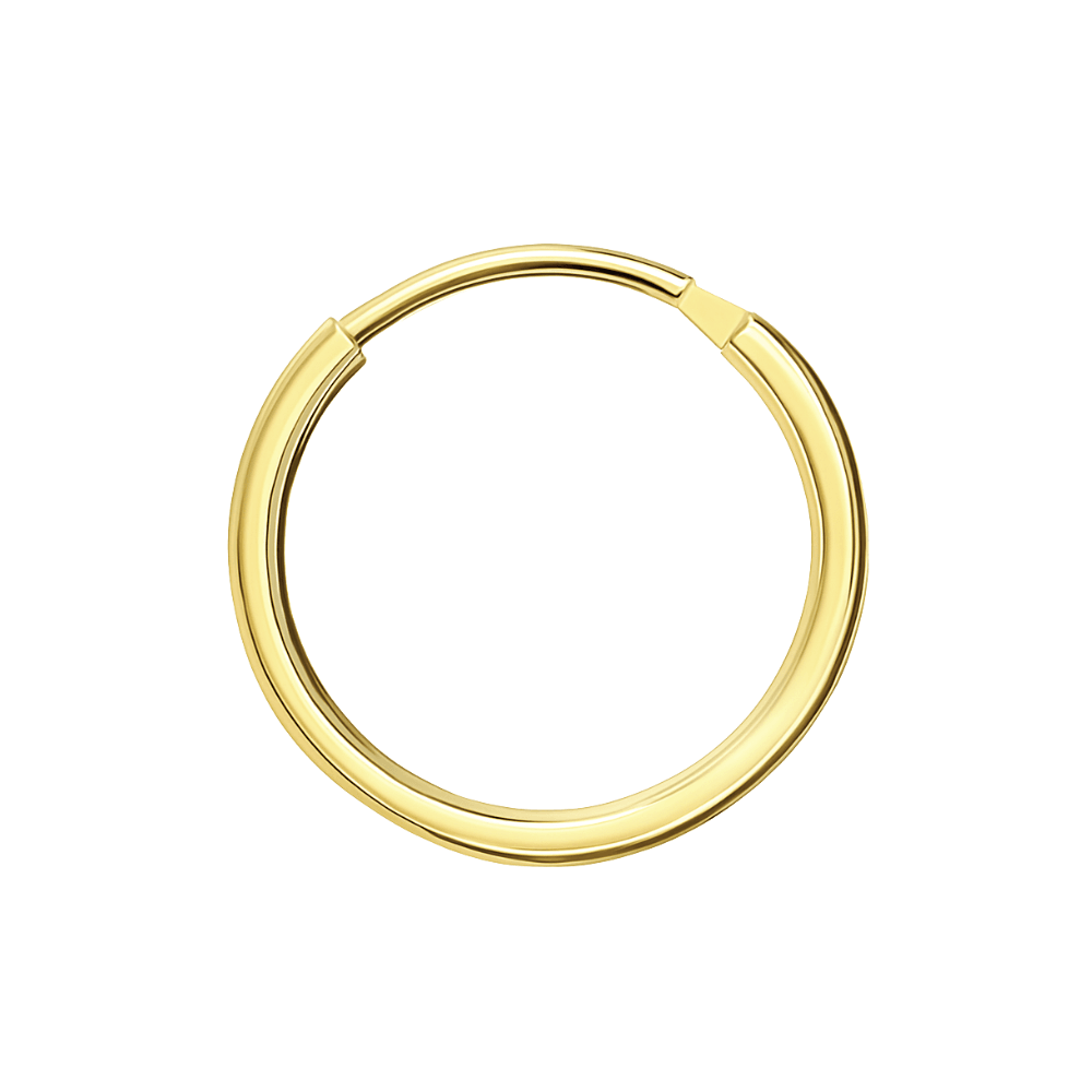 9K Gold Classic Hinged Segment Hoop Nose Ring