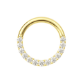9K Gold Continuous Cubic Zirconia Hinged Segment Clicker Ring
