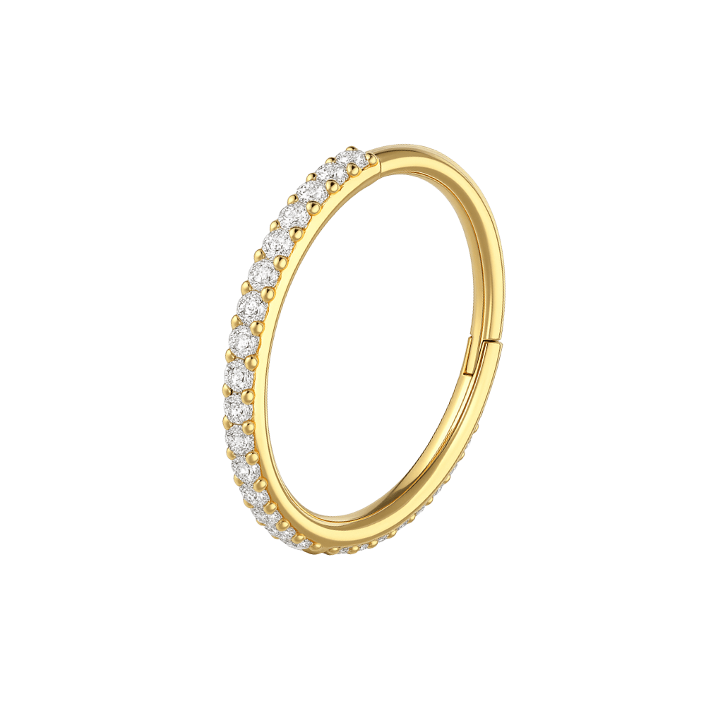 316L Surgical Steel and CZ Studded Hinged Segment Clicker Ring