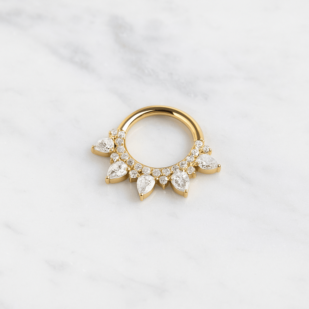 G23 Titanium Cubic Zirconia Studded Marquise Tiara Hinged Segment Clicker Ring