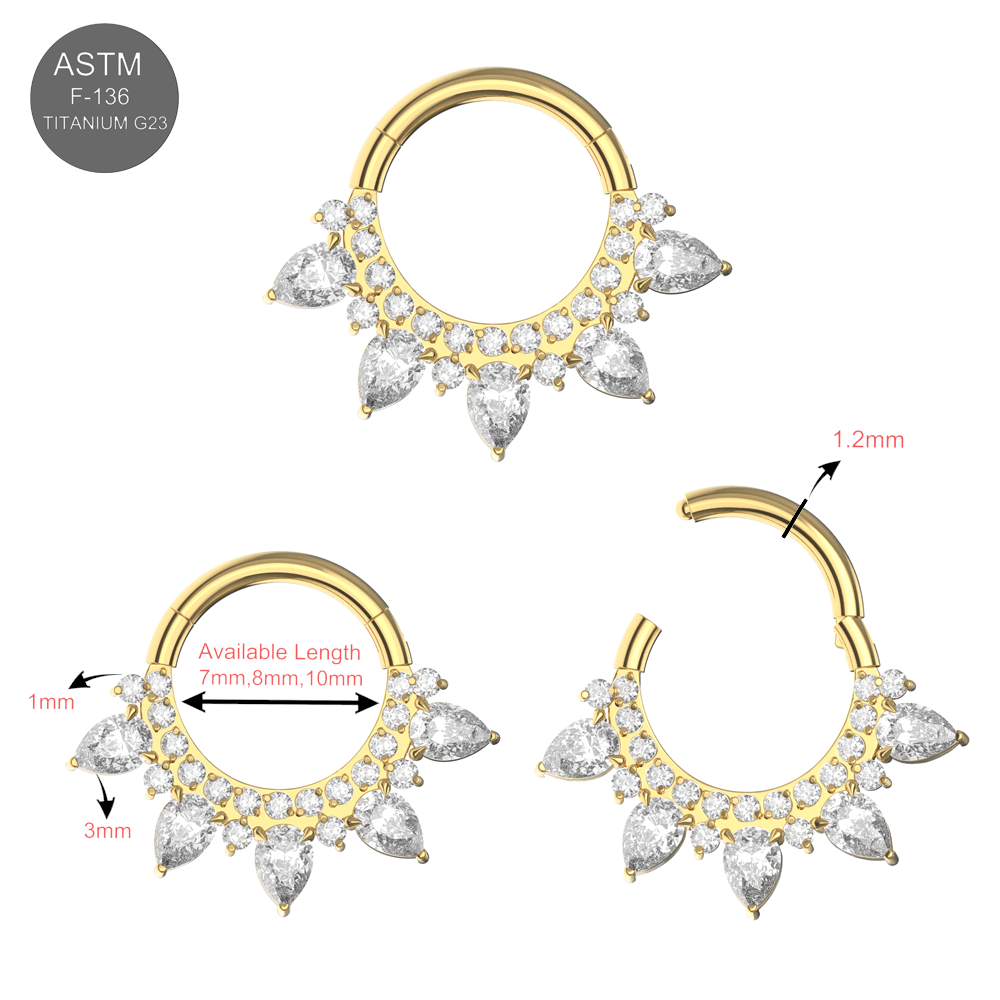 G23 Titanium Cubic Zirconia Studded Marquise Tiara Hinged Segment Clicker Ring
