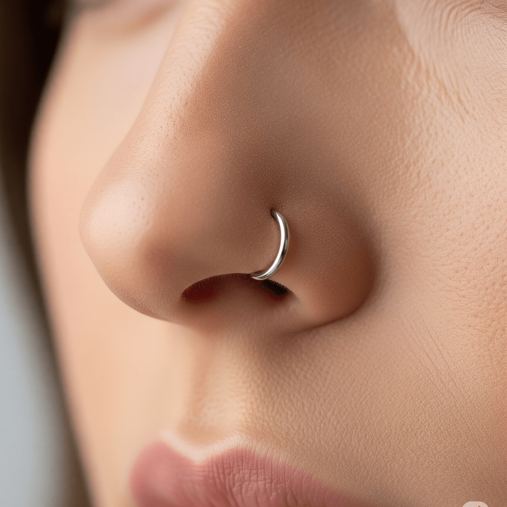 G23 Titanium Classic Hinged Segment Clicker Earrings
