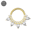 G23 Titanium Cubic Zirconia Studded Marquise Tiara Hinged Segment Clicker Ring