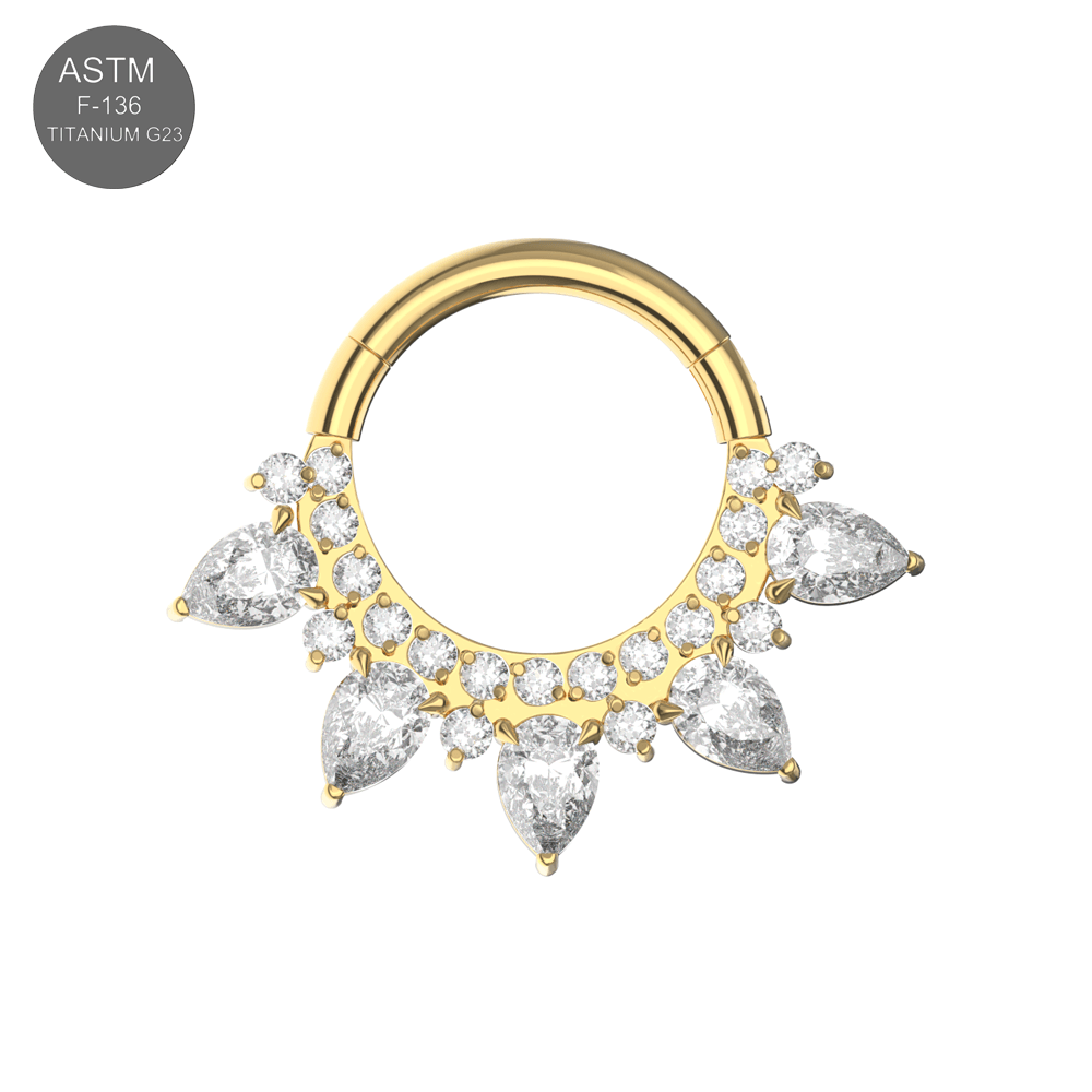 G23 Titanium Cubic Zirconia Studded Marquise Tiara Hinged Segment Clicker Ring