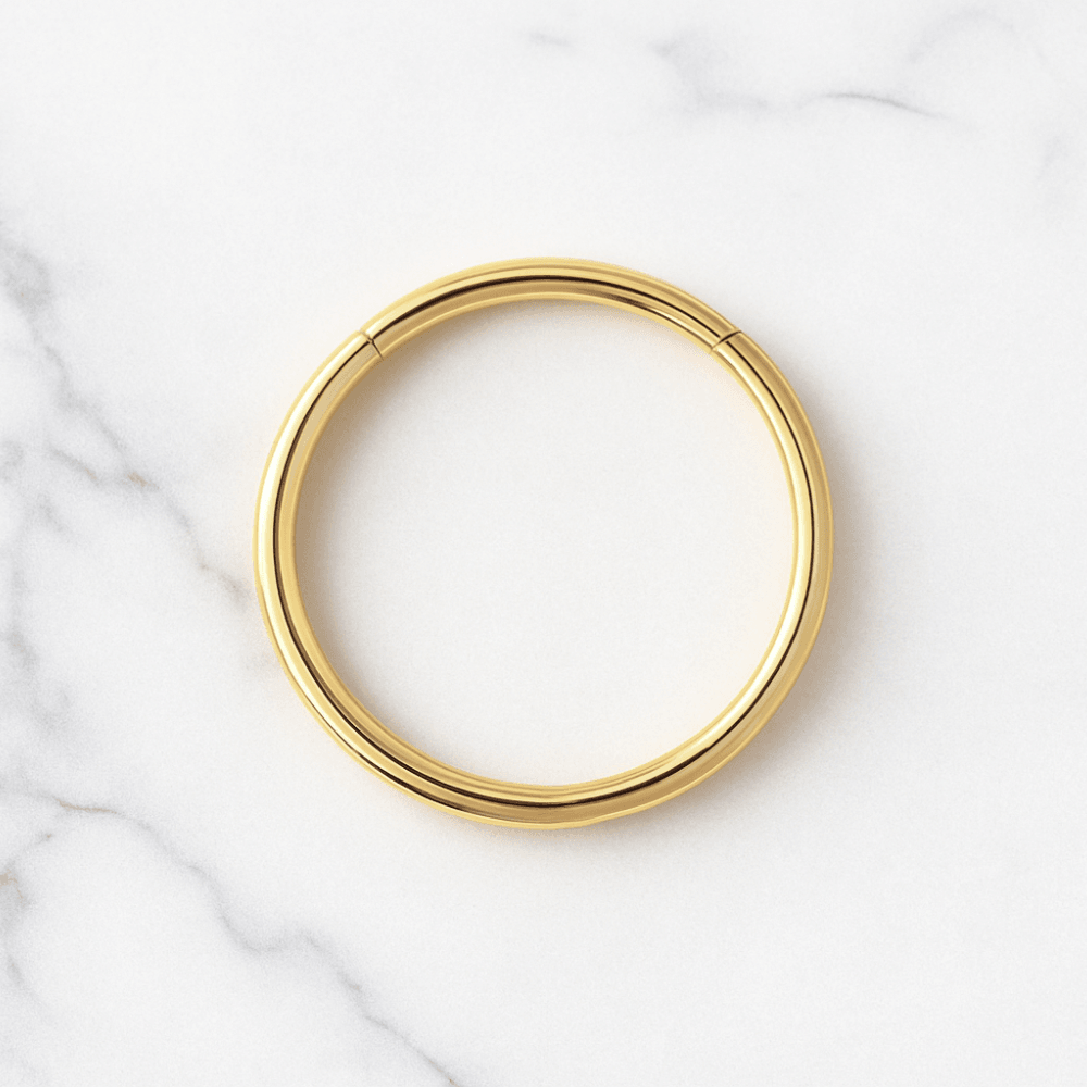 316L Surgical Steel 20G Hinged Segment Clicker Ring
