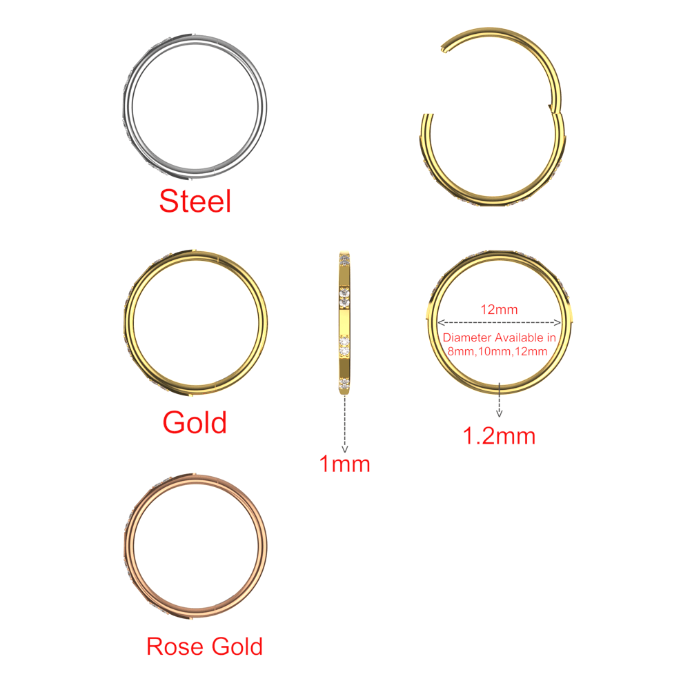 316L Surgical Steel Double CZ Jewelled Hinged Septum Clicker Ring