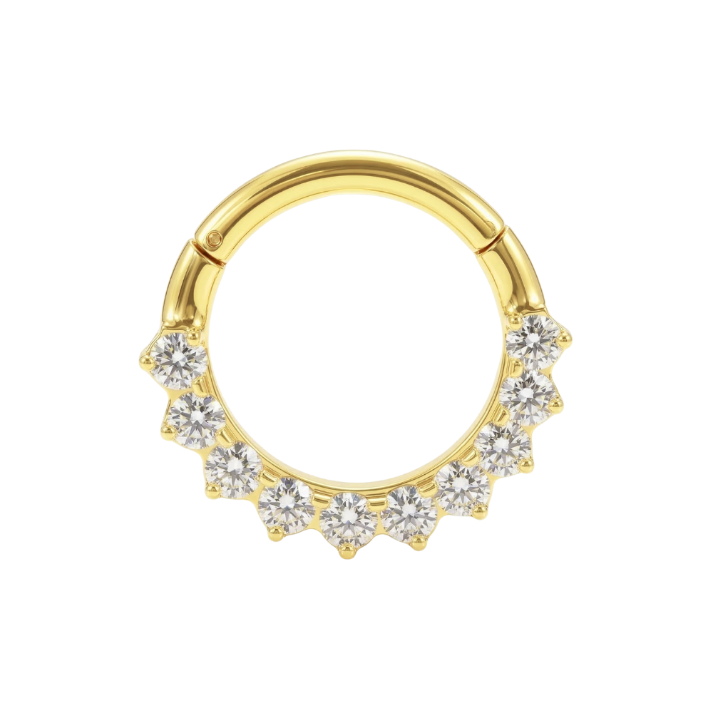G23 Titanium Round CZ Cluster Linked Hinged Segment Clicker Ring