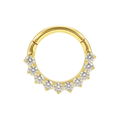 G23 Titanium Round CZ Cluster Linked Hinged Segment Clicker Ring