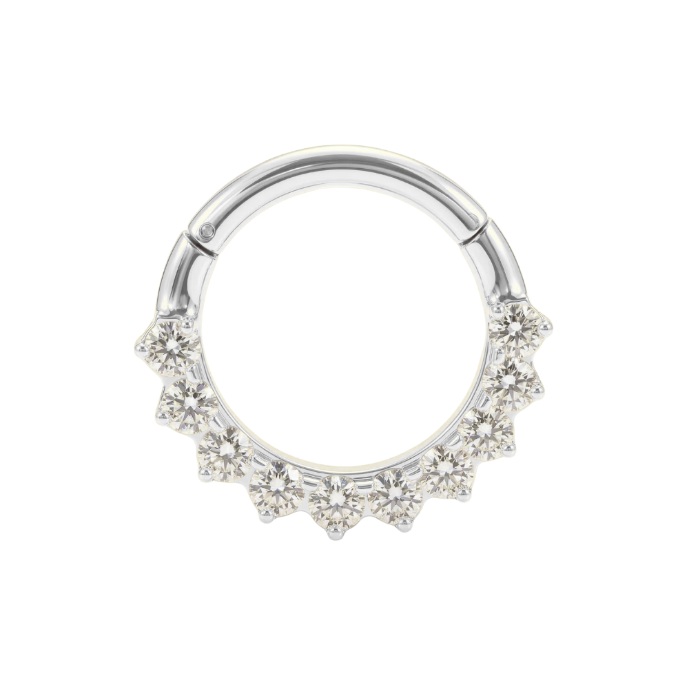 G23 Titanium Round CZ Cluster Linked Hinged Segment Clicker Ring
