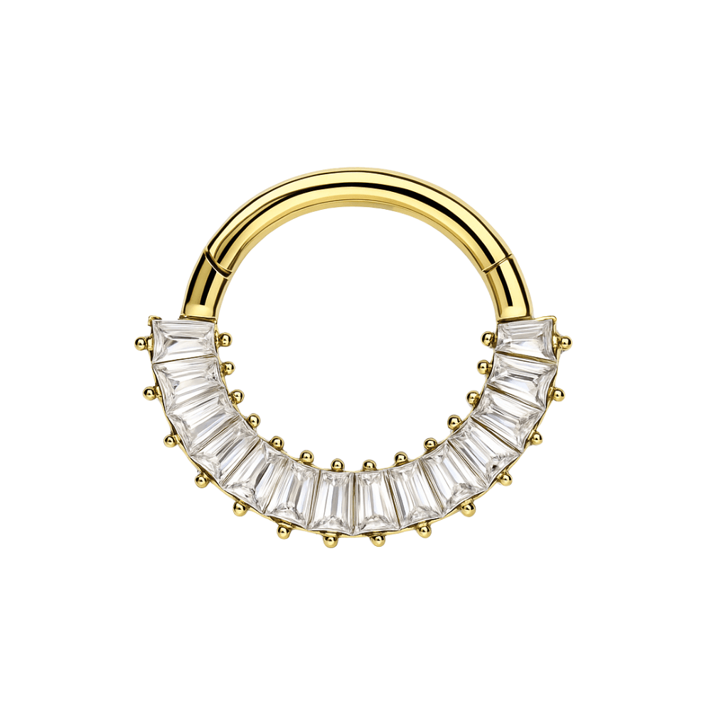 316L Surgical Steel CZ Jewelled 316L Hinged Segment Clicker Ring