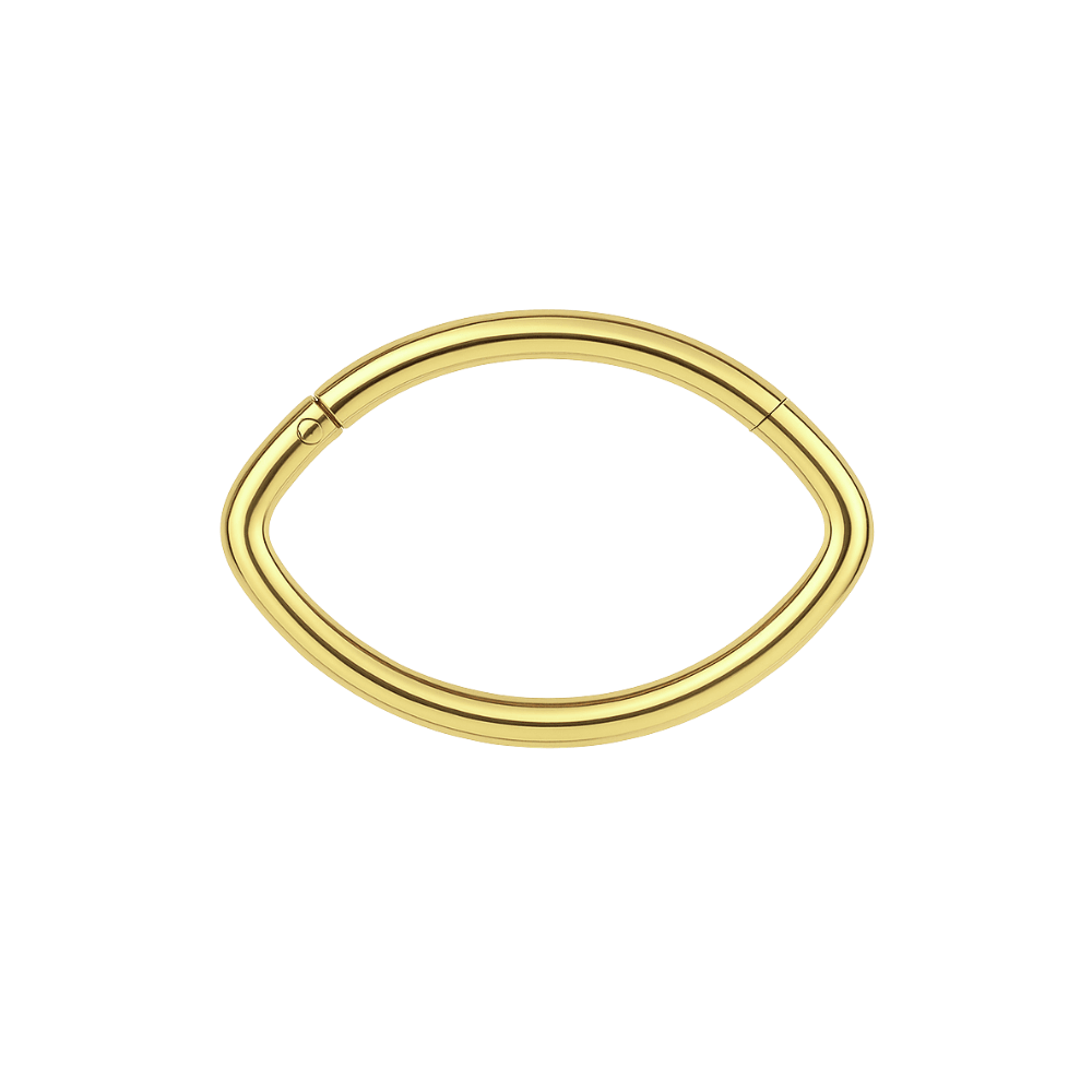 316L Surgical Steel Oval Shape Classic Hinged Segment Clicker Ring