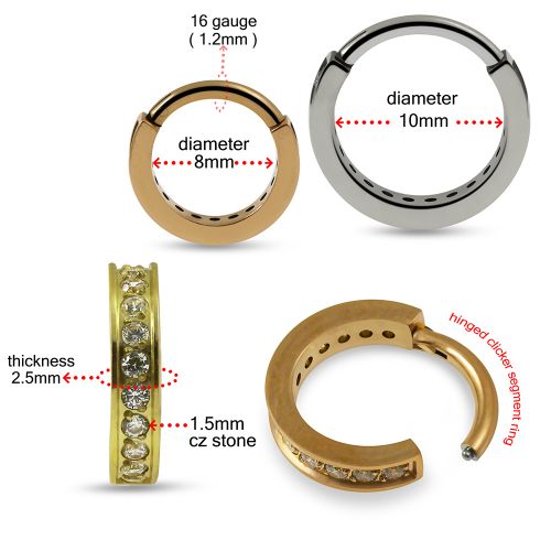 G23 Titanium CZ Jewelled Hinged Clicker Segment Ring