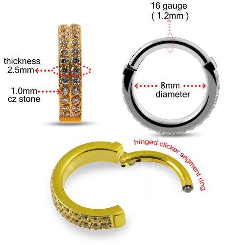G23 Titanium Double Row CZ Jewelled Hinged Clicker Segment Ring