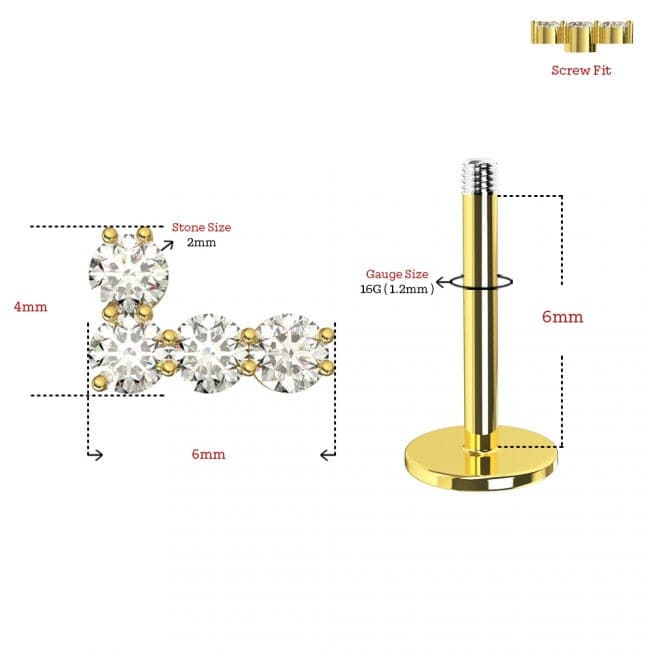 316L Surgical Steel CZ Studded Tick Cartilage Ear Stud